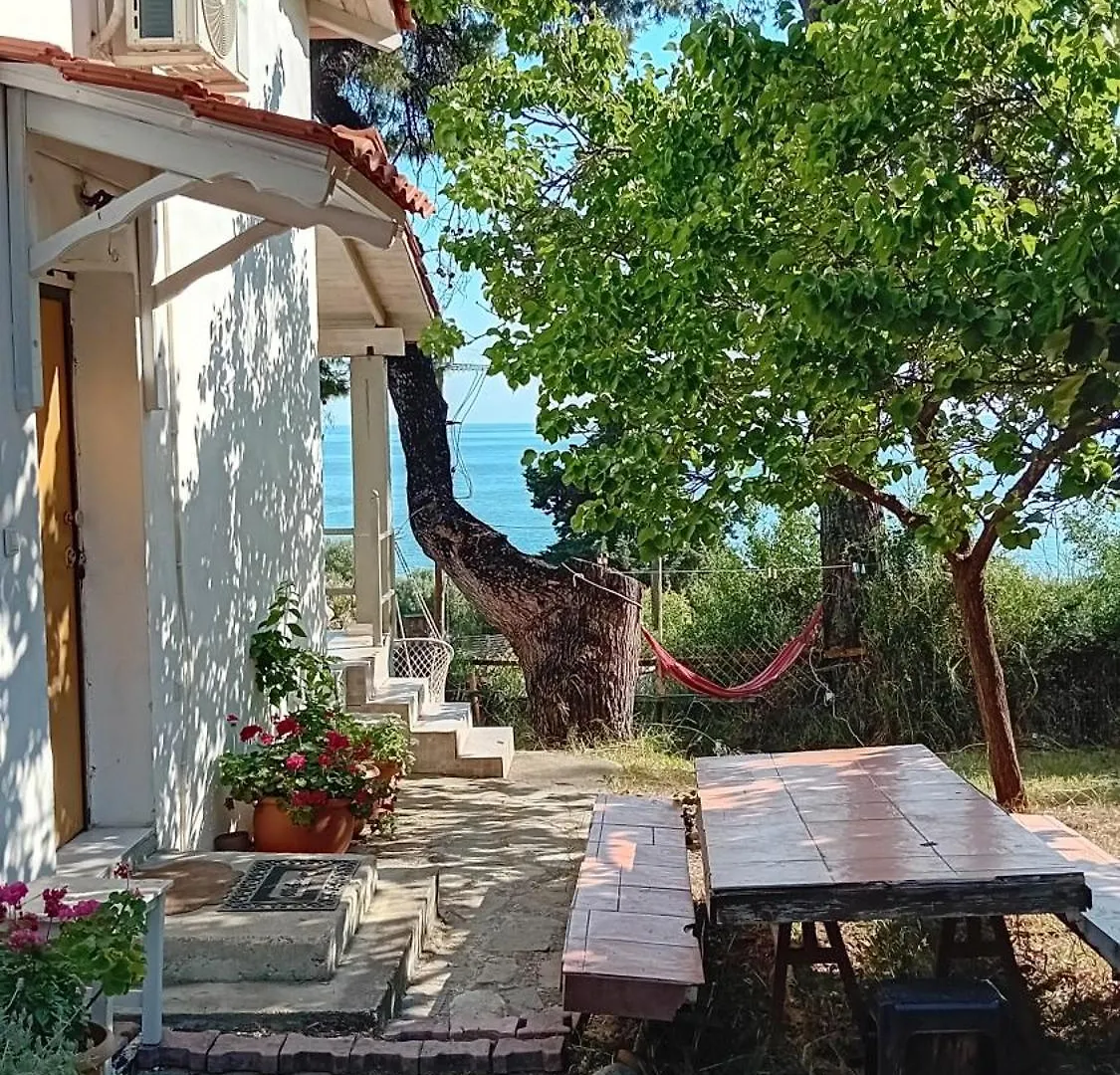 Villa Aliki This Is Our Happy Place Nea Skioni